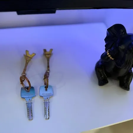 Apartment Ile Saint Louis Notre Dame De Paris